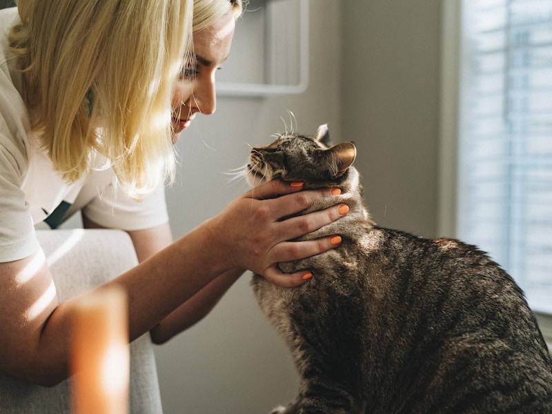 Veterinary clinic
